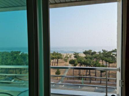 Pine Beach Yangyang Exterior photo