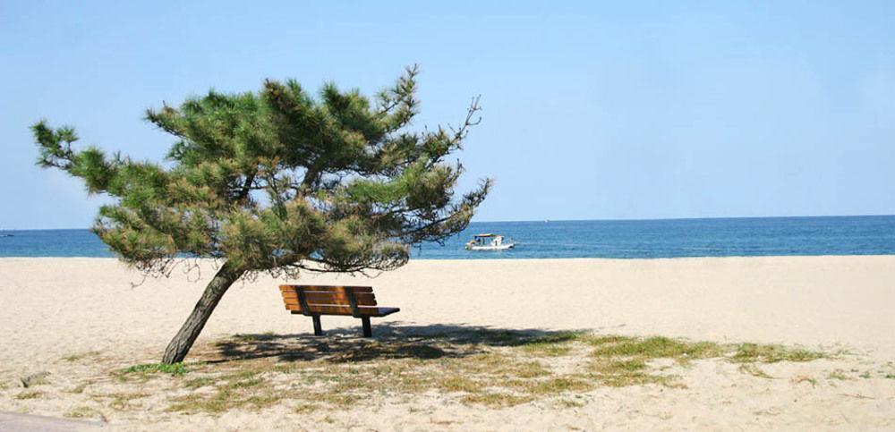 Pine Beach Yangyang Exterior photo