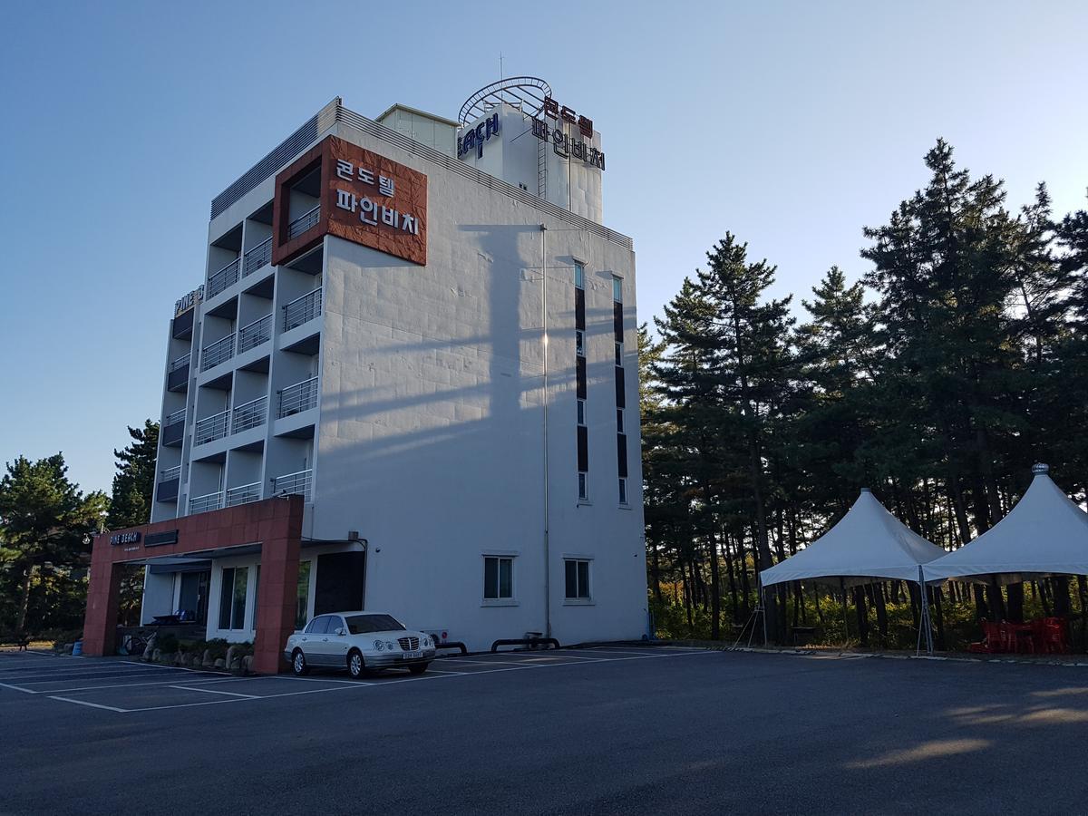 Pine Beach Motel Yangyang Exterior photo